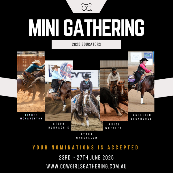 2025 Mini Gathering