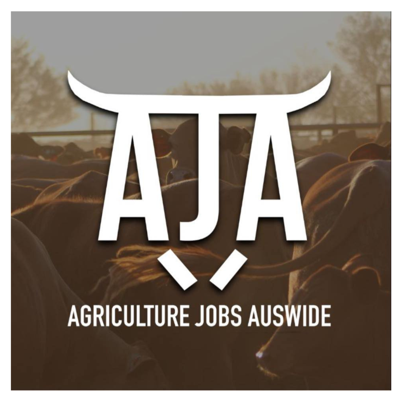 CG - Website Squares & Sponsors (26)